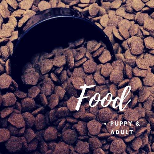 black-dog-bowl-buried-in-dog-food