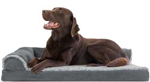 chocolate-lab-laying-on-gray-dog-bed