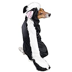 Skunk