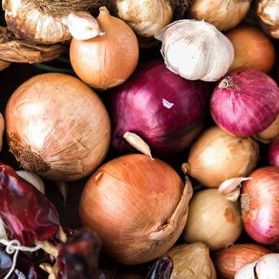 Bulb Vegetables 
