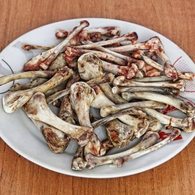 Bones