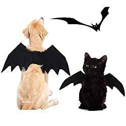 Bat