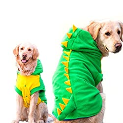 Dinosaur
