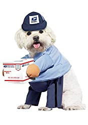 Delivery Driver