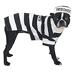 Prisoner