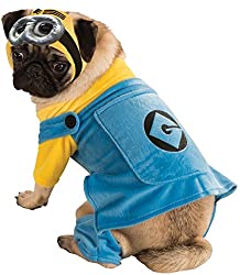 Minion