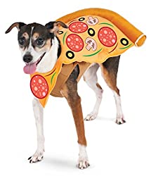 Pizza costume
