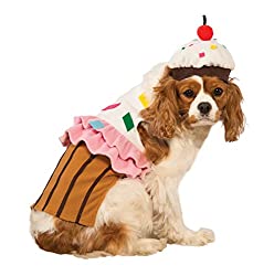 Cupcake costume