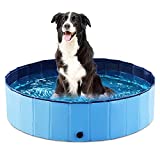dog swimming pool
