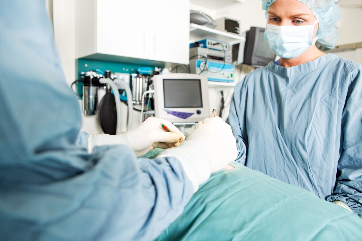 vet-surgery-spay-neuter