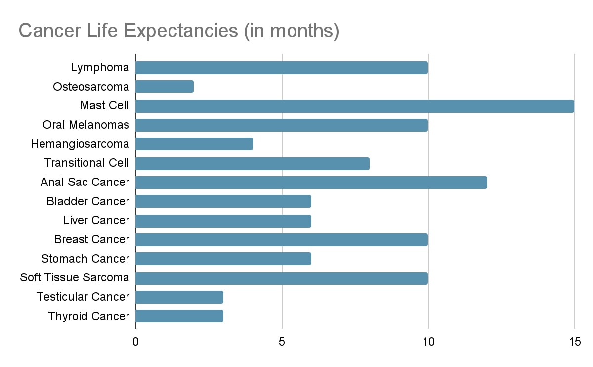 cancer-life-expectancies-in-months