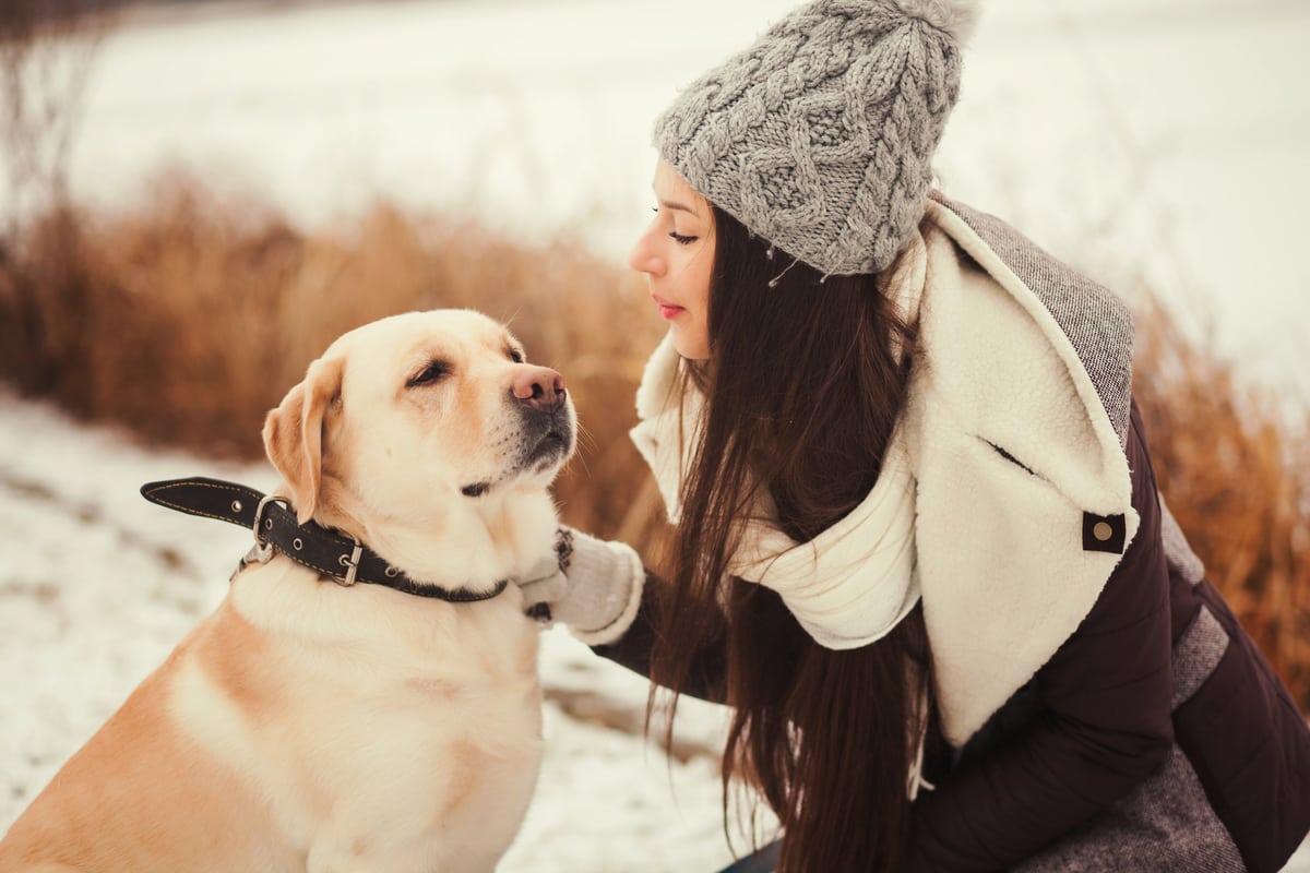 labrador-with-woman-in-winter