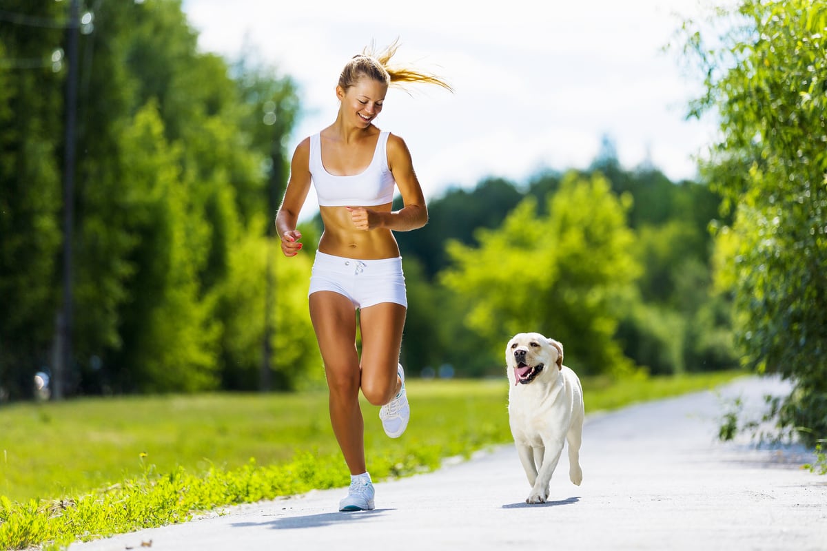 labrador running with owner