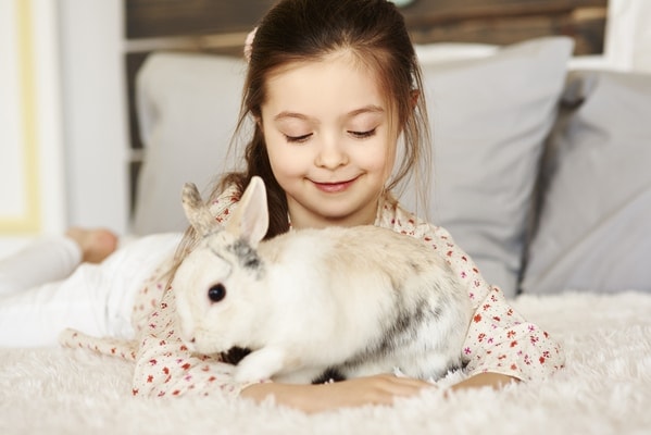 pet a rabbit