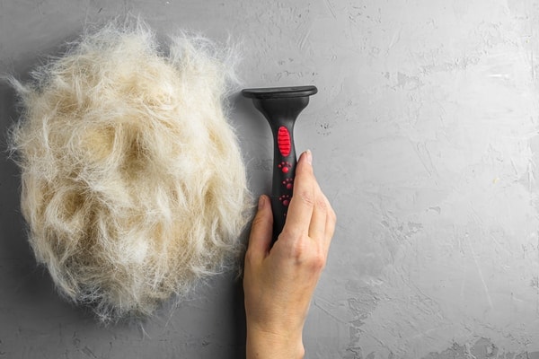 dog fur