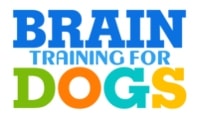brain training for dogs