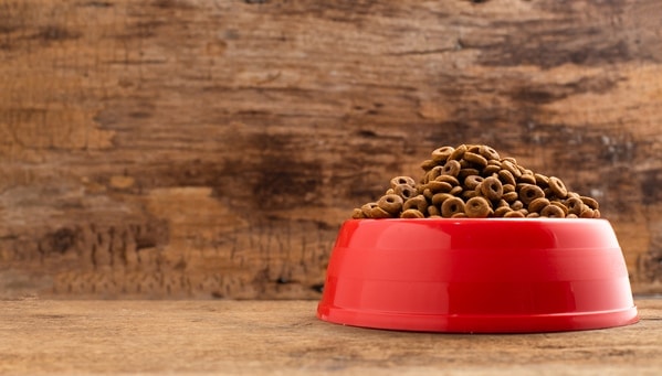 dog food in a bowl