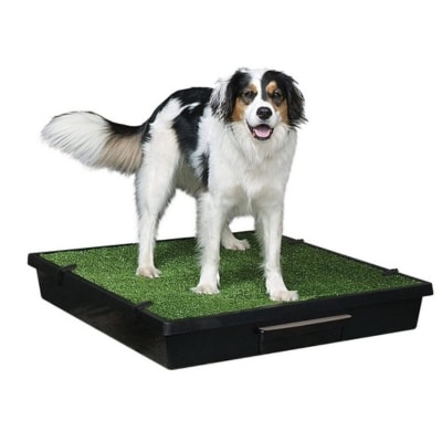 PetSafe Pet Loo