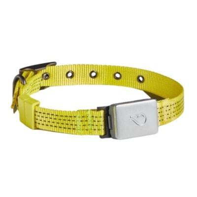 Whistle Collar