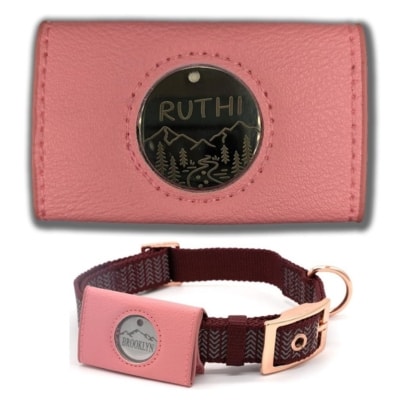 Amazon's Dog Tag Holder and ID Tag Silencer