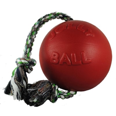 Jolly Pets Romp-n-Roll Ball