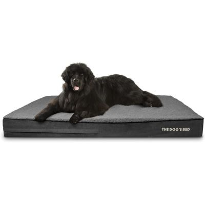 The Dog’s Bed Orthopedic Jumbo Memory Foam Dog Bed