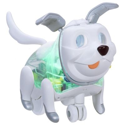 Hasbro Proto Max