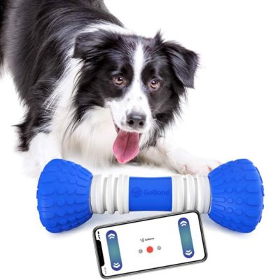 GoBone Interactive App-Enabled Smart Bone