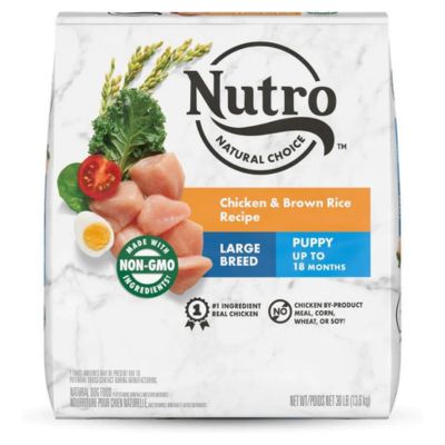 Nutro Wholesome Essentials Large Breed Puppy