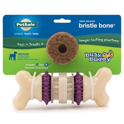 PetSafe Busy Buddy Bristle Bone