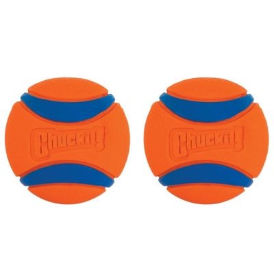 Chuckit! Ultra Rubber Ball Dog Toy