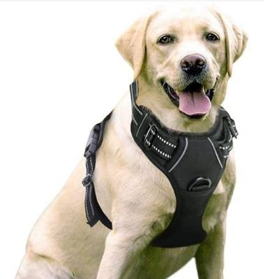 Rabbitgoo Dog Harness- Best for Big Dogs