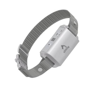 PATPET A01 Anti-Bark Dog Training Collar