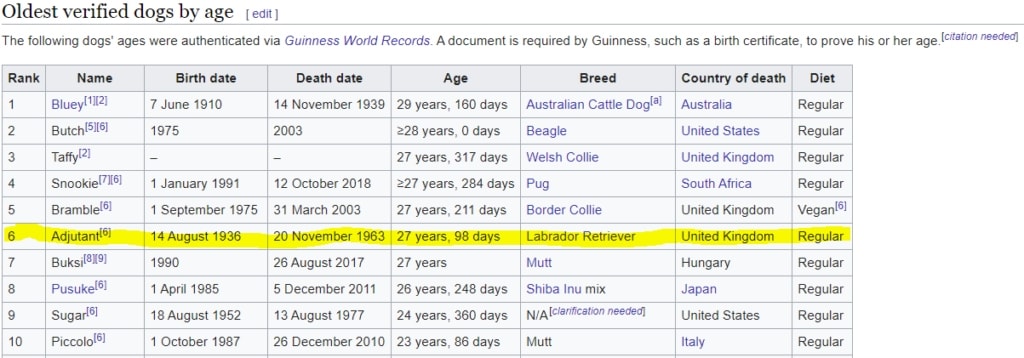 list of oldest dogs