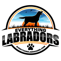 everything-labradors-logo-256